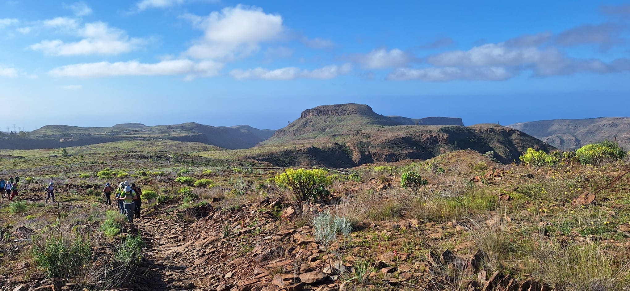 Aridez y verde abriendose paso