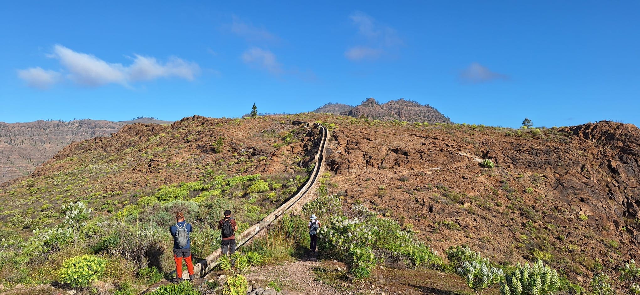 Canales de agua hacia el infinito