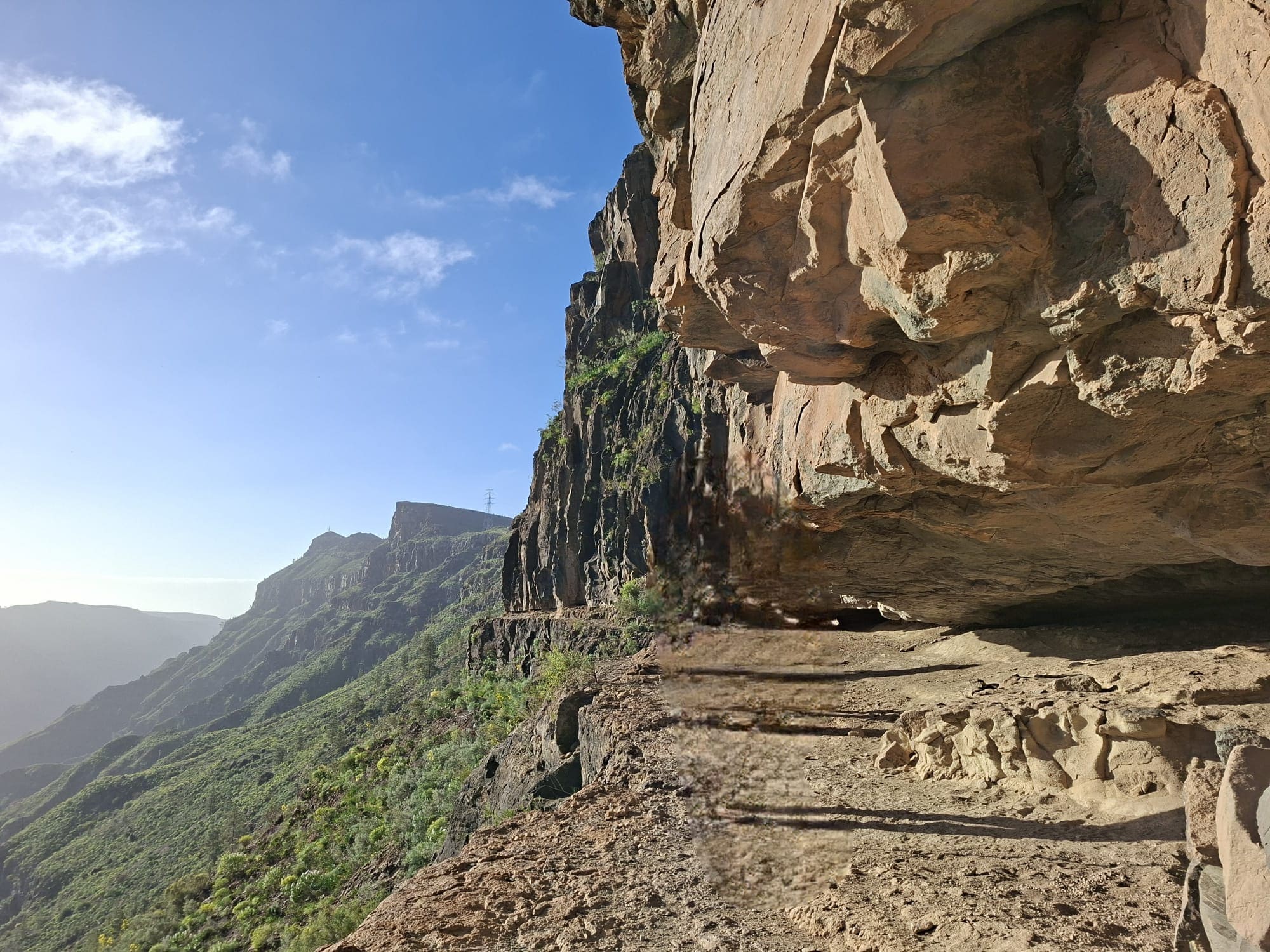 La naturaleza caprichosa