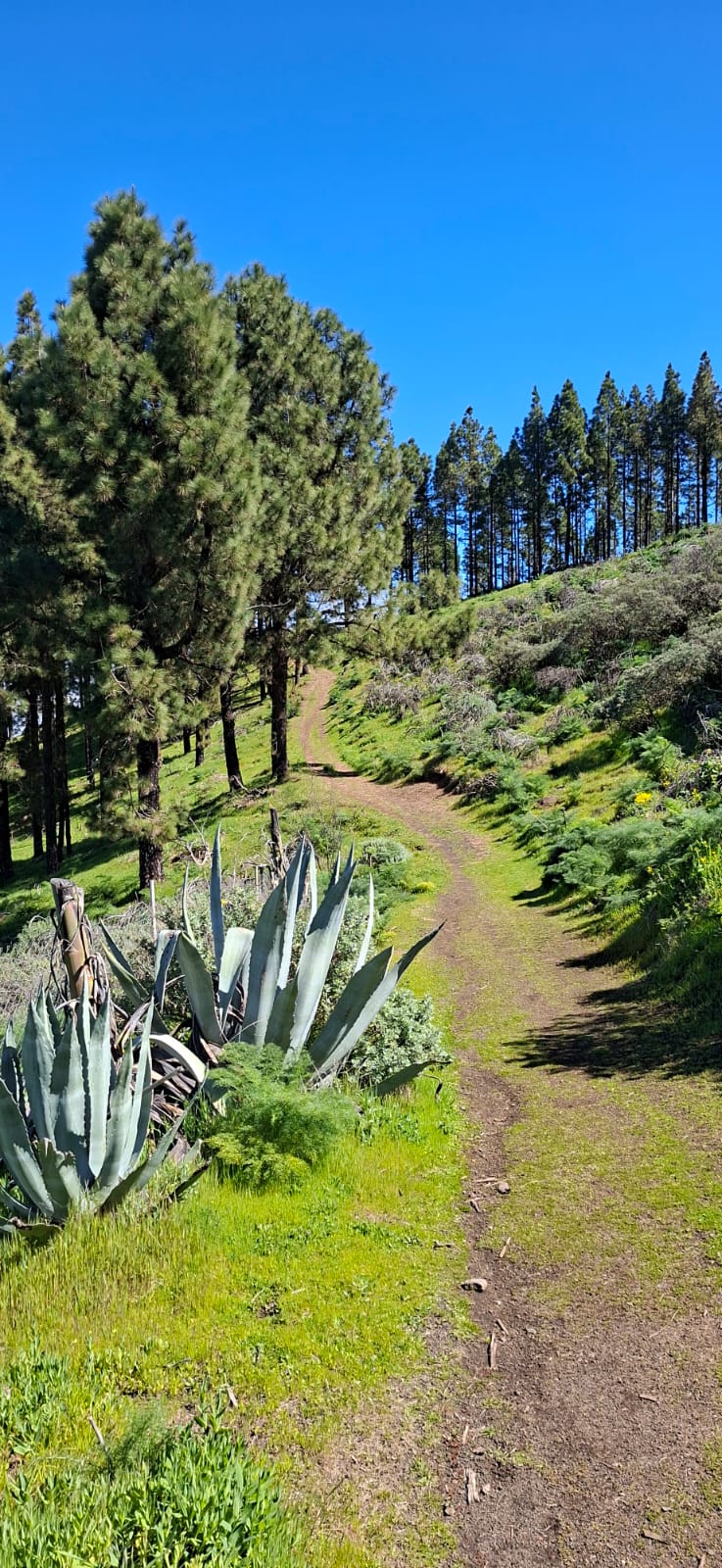 Un camino hacia el cielo ?