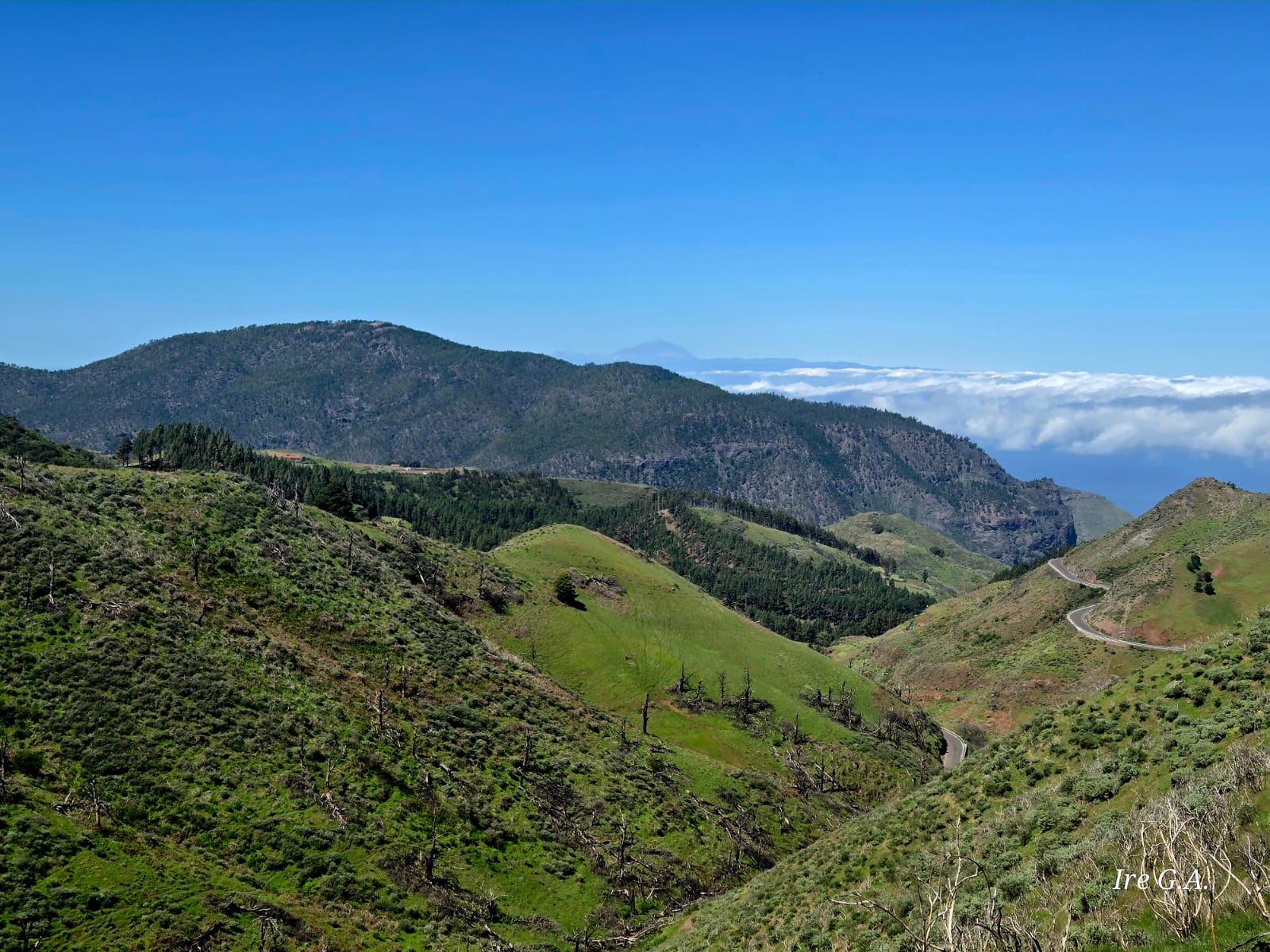 Nuestras montañas verdes con el Teide al fondo