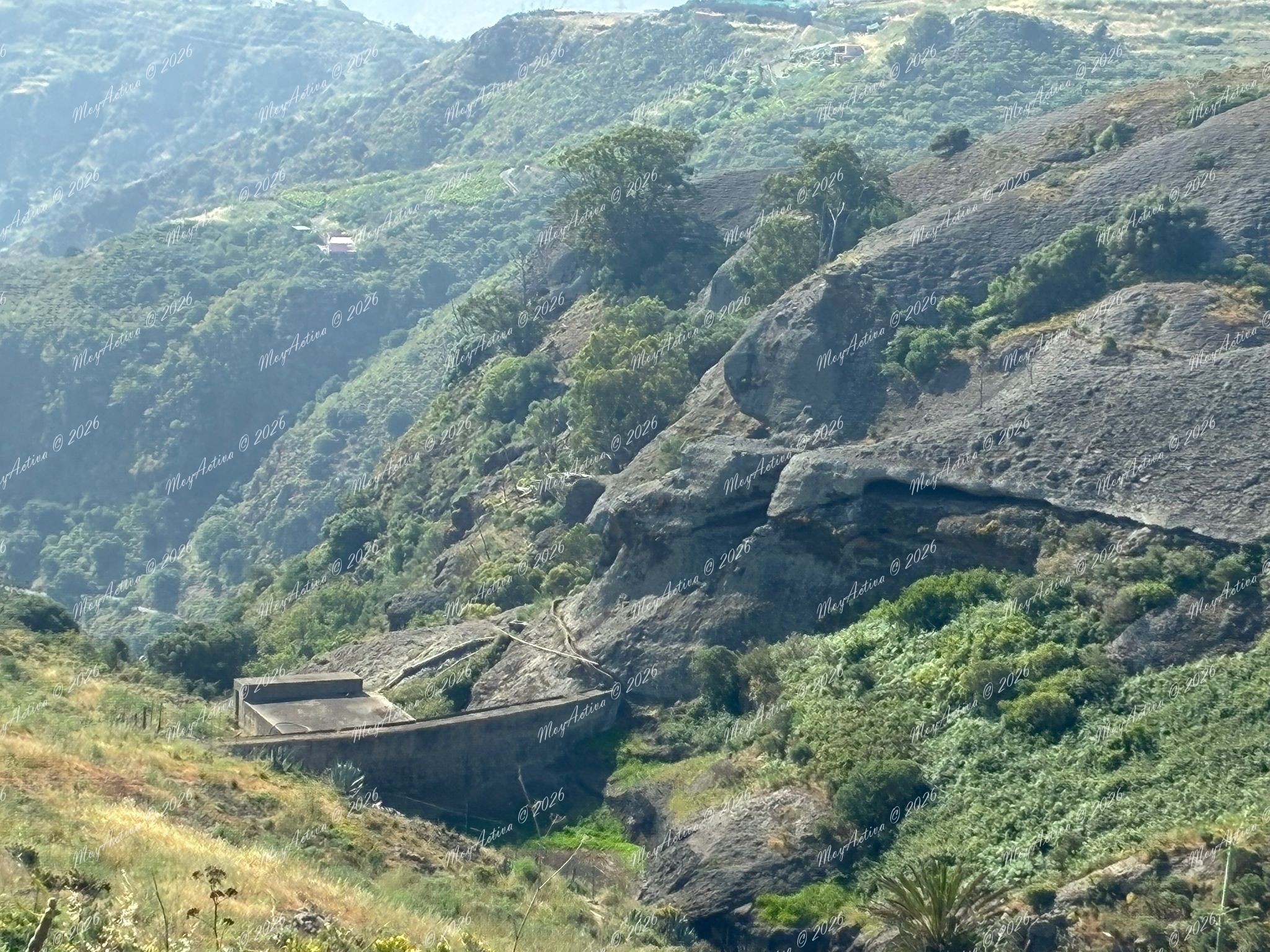 Presa