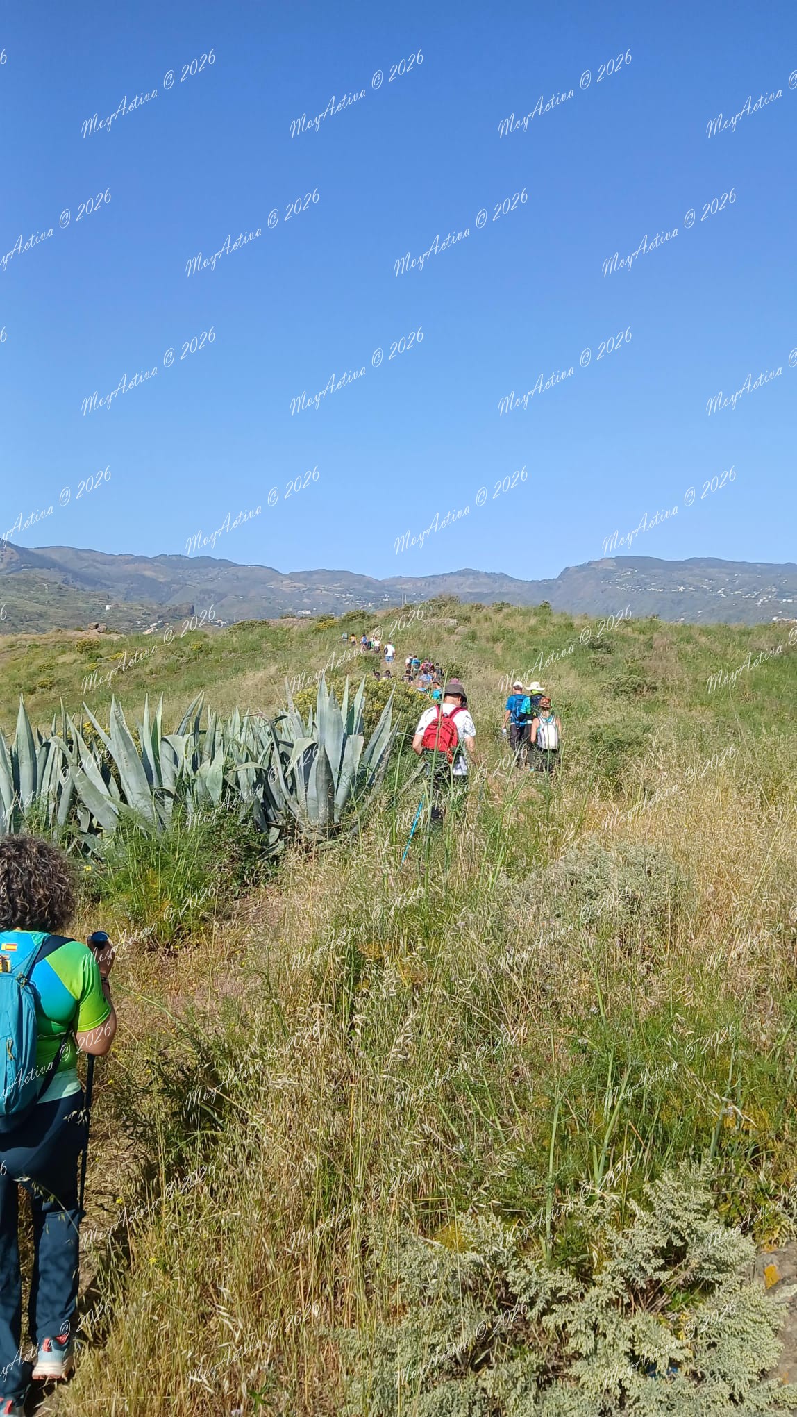 En fila ordenada